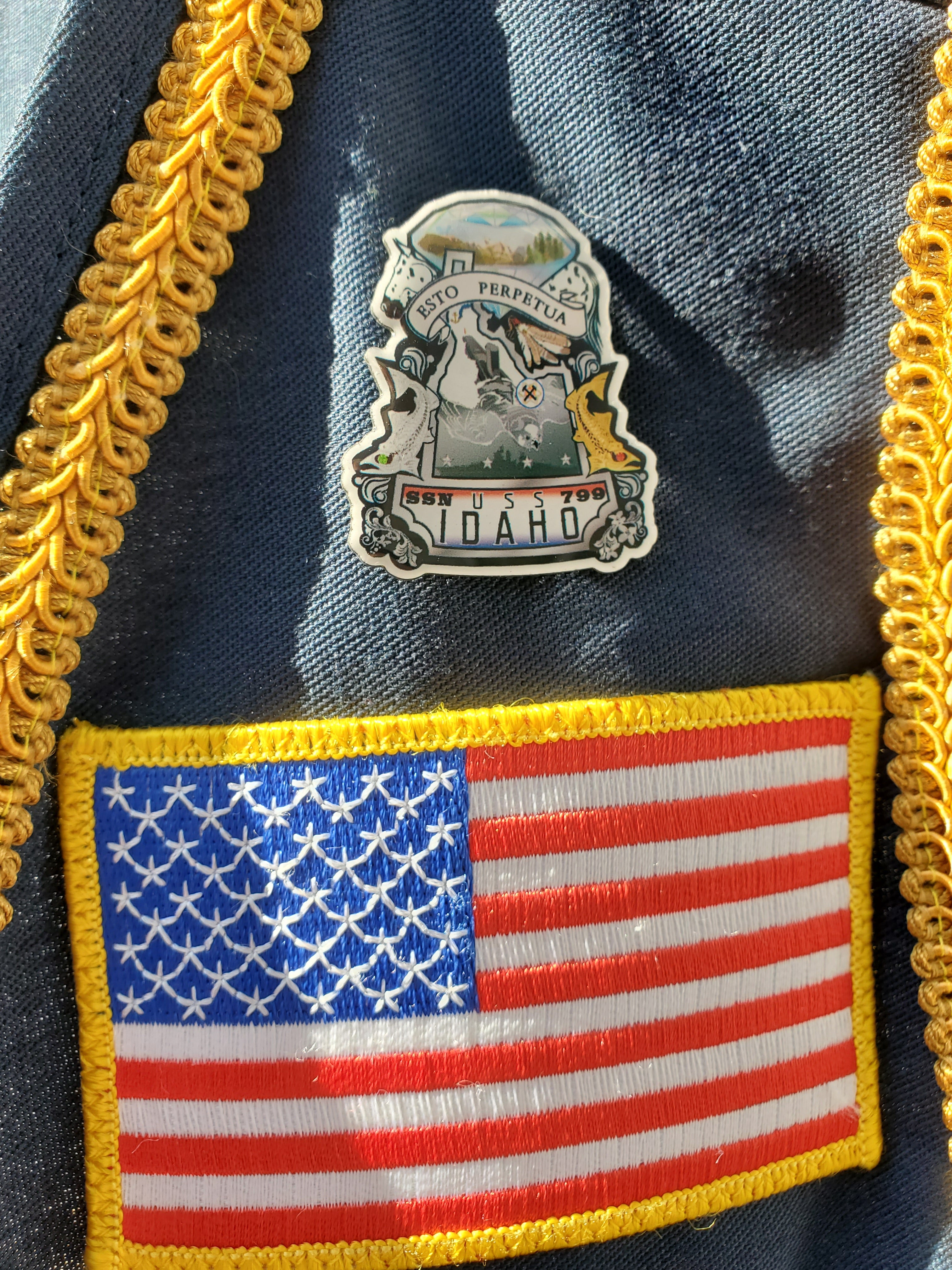 Ships Crest Pin