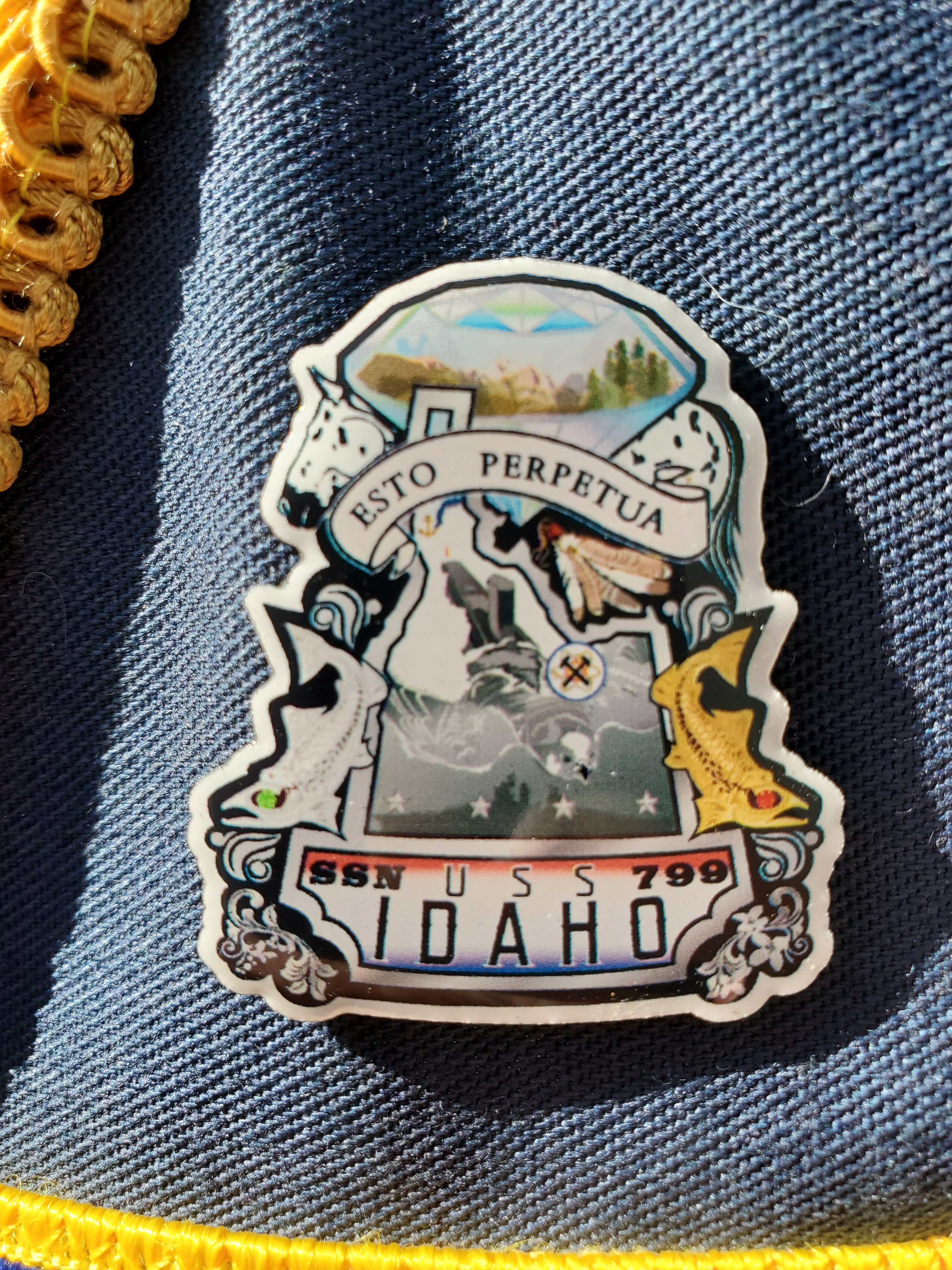 Ships Crest Pin