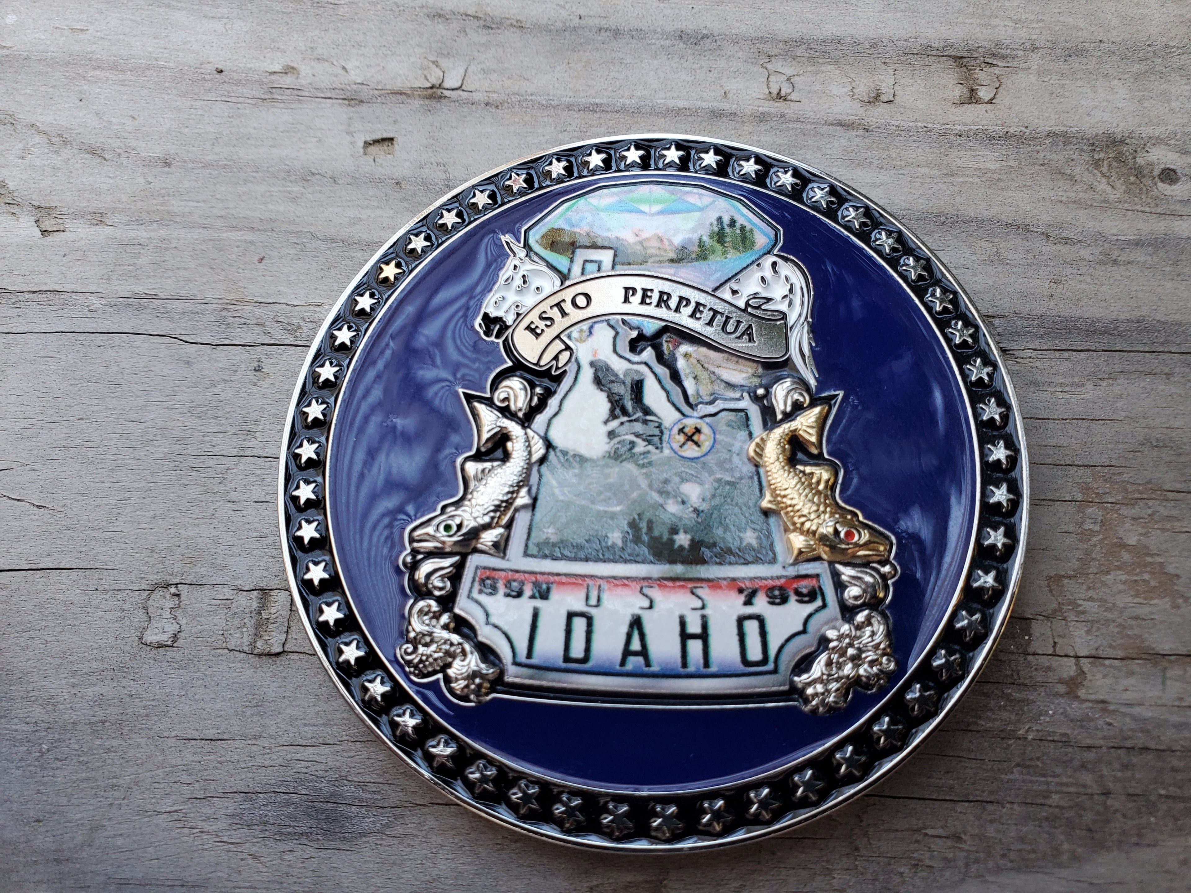 SSN-799 2 1/2" Challenge coin