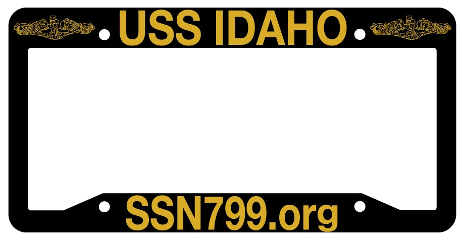 PAIR (2) gold license plate frames